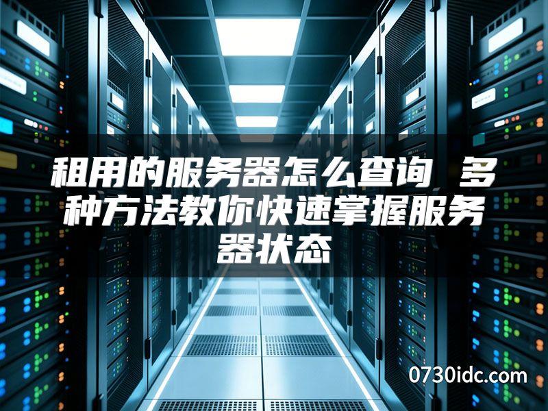 租用的服务器怎么查询 多种方法教你快速掌握服务器状态