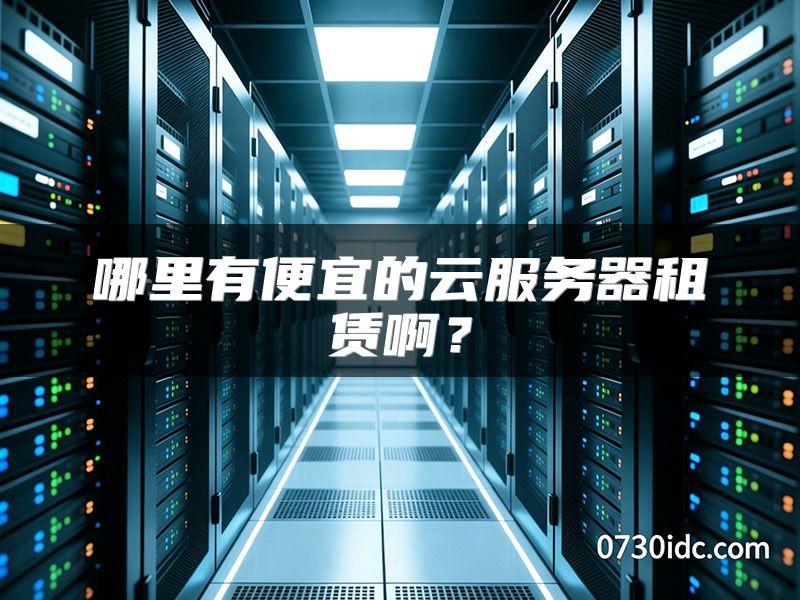 哪里有便宜的云服务器租赁啊？
