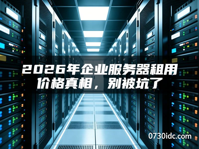 2026年企业服务器租用价格真相，别被坑了